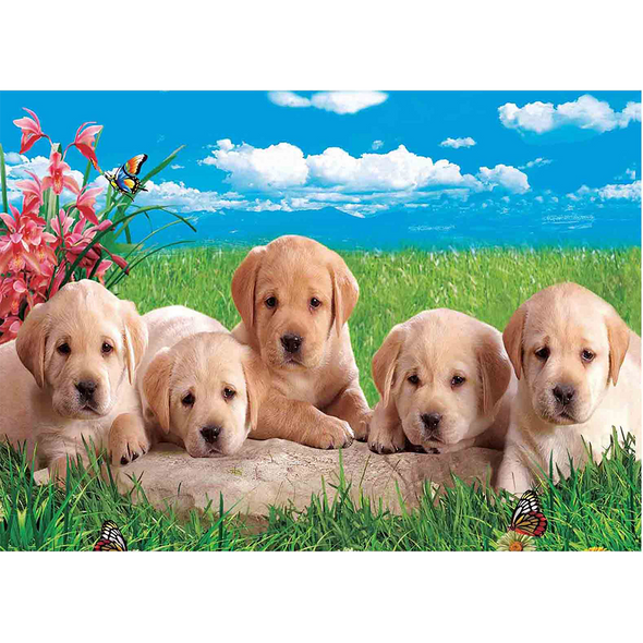 Labrador Pups - 3D Lenticular Poster - 12x16 Print