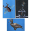3 - Duck, Gold Fish, Beetle - 3D Lenticular Postcards  Greeting Cards