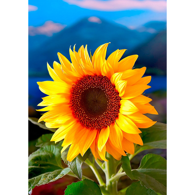 Sunflower - 3D Lenticular Postcard Greeting Card