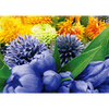 Flowers - 3D Lenticular Postcard Greeting Card