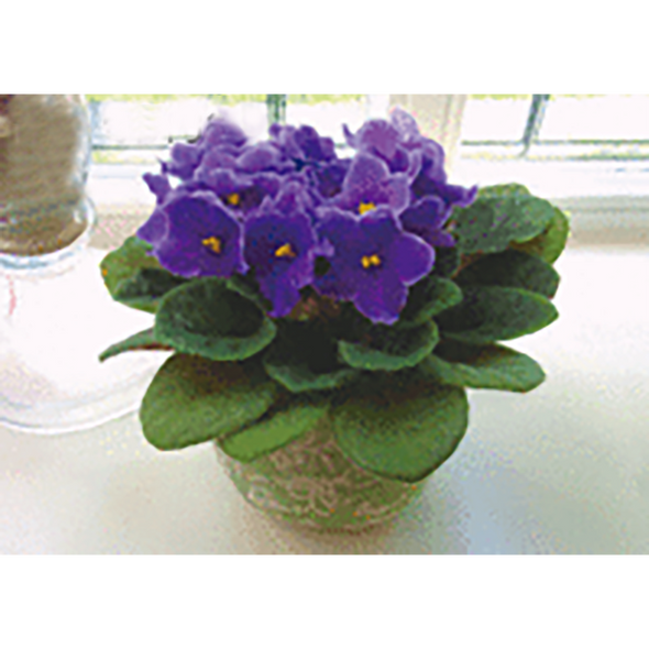 Violets in a Vase - Flowers - 3D Lenticular Postcard Greeting Card