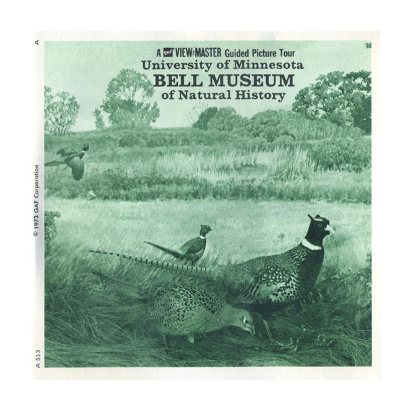 University of Minnesota BELL MUSEUM - Natural History - A513 - Vintage Classic Vieiw-Master 3 Reel Packet - 1970s views