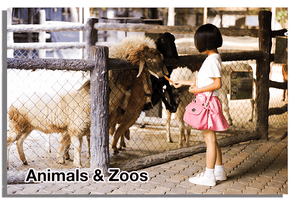 Animals and Zoos - View-Master