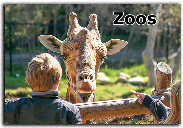 view-master® zoos
