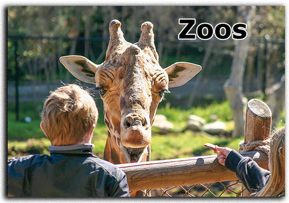 view-master® zoos