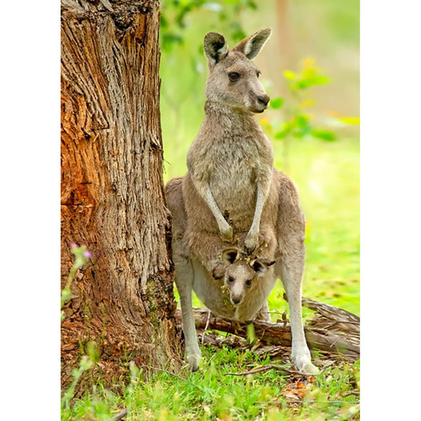 Eastern Grey Kangaroo - 3D Lenticular Postcard Greeting Card - NEW