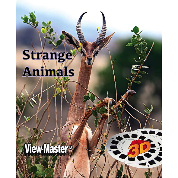 Strange Animals of The World - View-Master 3 reel set - vintage