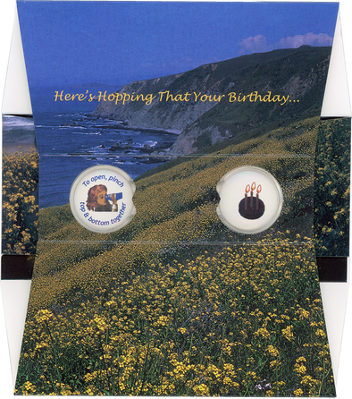 Here's Hopping That Your Birthday... - OH WOW Greeting Card - Mailable Viewer - NEW