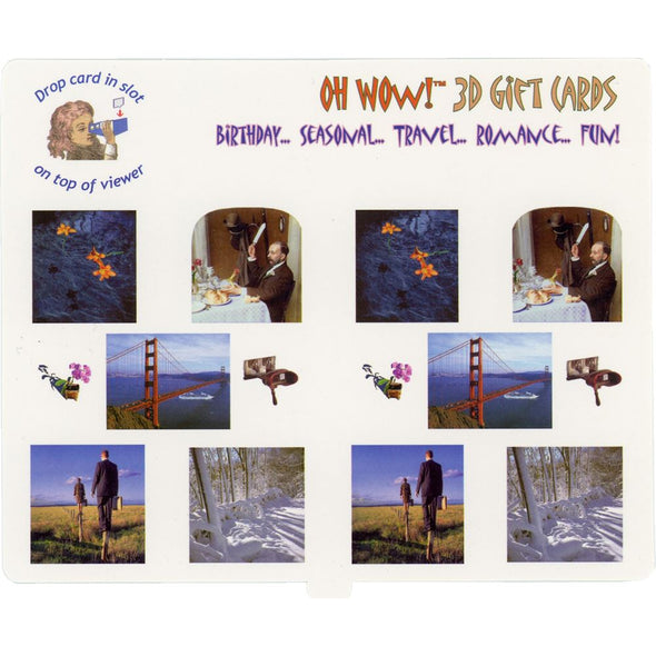 The New Woman - Wash Day - OH WOW Greeting Card - Mailable Viewer - NEW