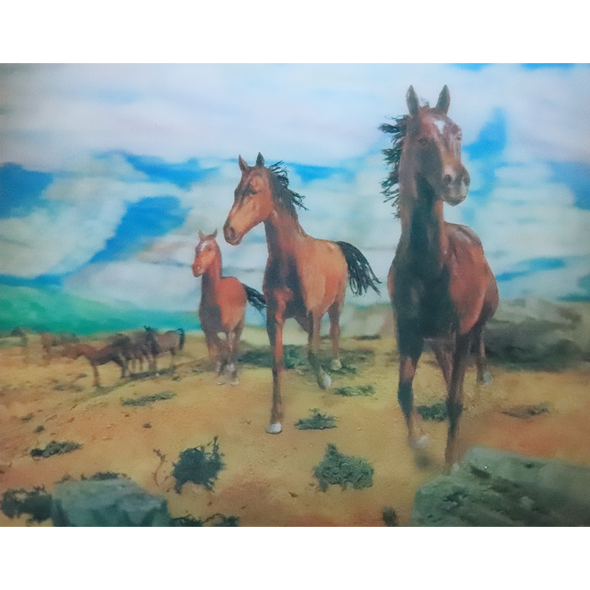 Wild Horse - 3D Lenticular Poster - 12x16 - New