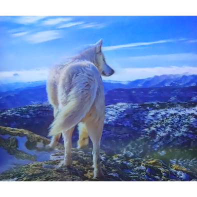 White Wolf on Mountain - 3D Lenticular Poster - 12x16 Print - New