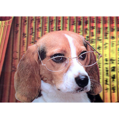 Beagle Dog in Glasses - 3D Lenticular Poster - 12x16 -  NEW