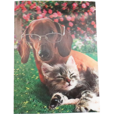 Dog with Glasses and Cat - 3D Lenticular Poster - 12x16 -  NEW