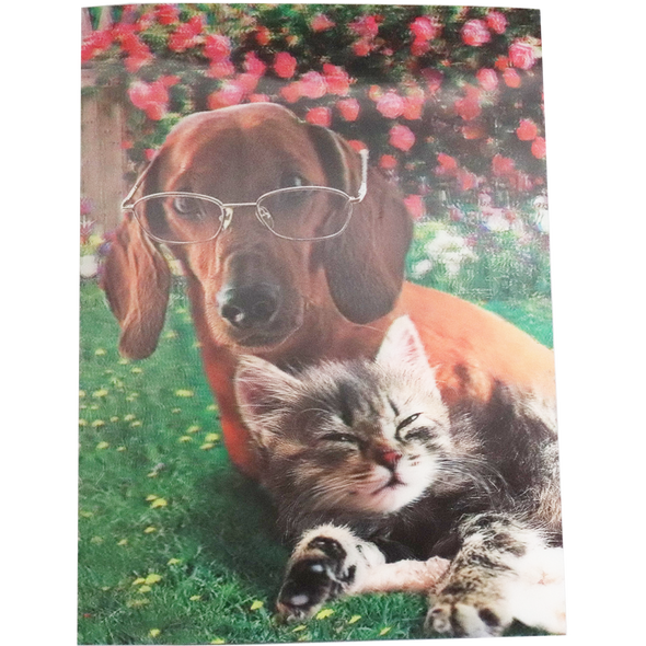 Dog with Glasses and Cat - 3D Lenticular Poster - 12x16 -  NEW