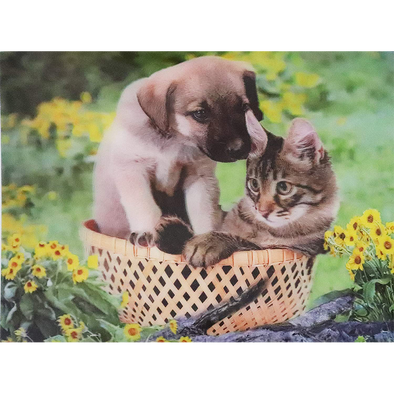 Puppy and Kitten - 3D Lenticular Poster - 12x16 -  NEW