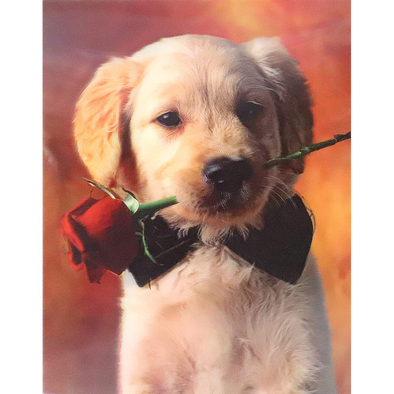 Puppy with Rose - 3D Lenticular Poster - 12x16 -  NEW