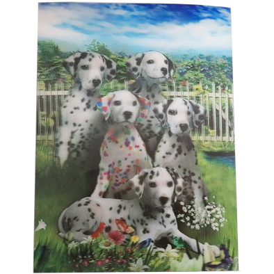 Colorful Dalmatian - 3D Lenticular Poster - 12x16 -  NEW