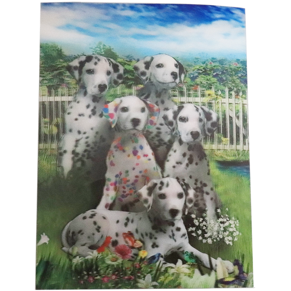 Colorful Dalmatian - 3D Lenticular Poster - 12x16 -  NEW