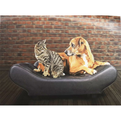 Cat and Dog Sitting on Couch - 3D Lenticular Poster - 12x16 -  NEW