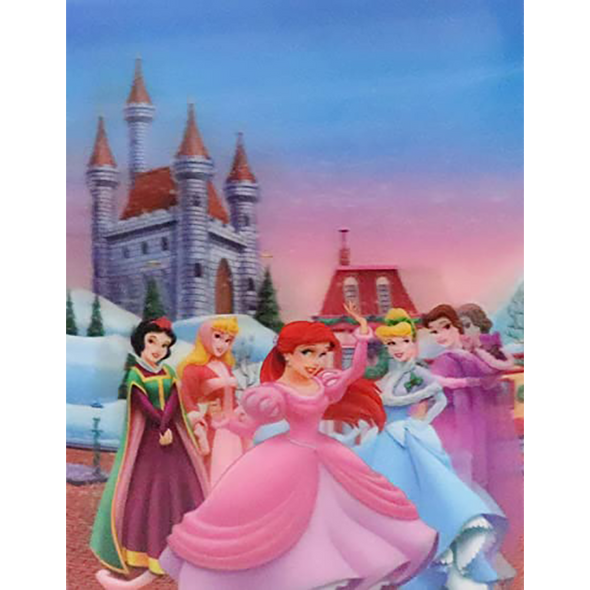 Disney Princess Castle - 3D Lenticular Poster - 12x16 -  NEW