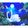 White Swans - 3D Lenticular Poster - 12x16 Print - New