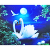 White Swans - 3D Lenticular Poster - 12x16 Print - New