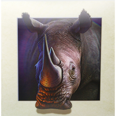 Rhinoceros - 3D Lenticular Poster - 16 x 16 Print - New