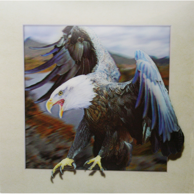 Eagle - 3D Lenticular Poster - 16 x 16 Print - New