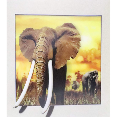 Elephant - 3D Lenticular Poster - 16 x 16 Print - New