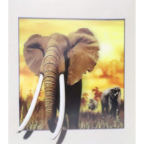 Elephant - 3D Lenticular Poster - 16 x 16 Print - New