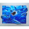 Sharks in the Ocean - 3D Lenticular Poster - 12x16 Print - New