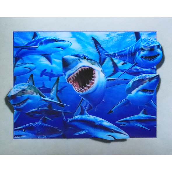 Sharks in the Ocean - 3D Lenticular Poster - 12x16 Print - New