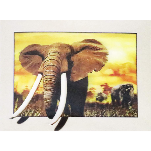 Elephants - 3D Lenticular Poster - 12x16 -  NEW