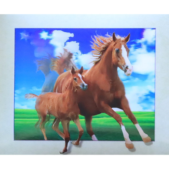 Running Horse and Foal - 3D Lenticular Poster - 12x16 -  NEW