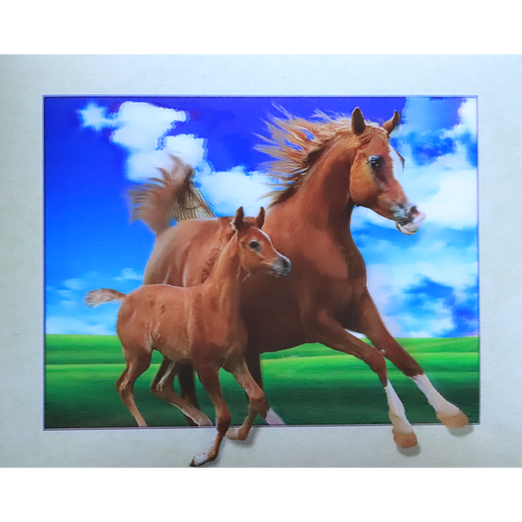 Running Horse and Foal - 3D Lenticular Poster - 12x16 -  NEW