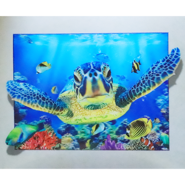 Sea Turtles - 3D Lenticular Poster - 12x16 Print - New