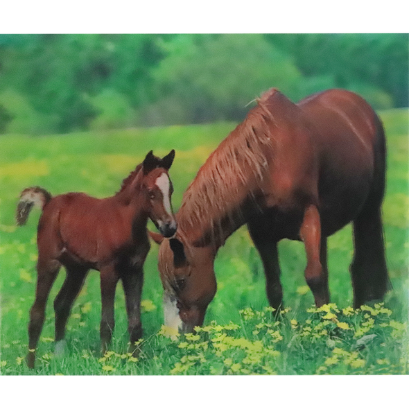 Horses - Triple Views - 3D Action Lenticular Poster - 12x16 - 3 Prints in 1 - New