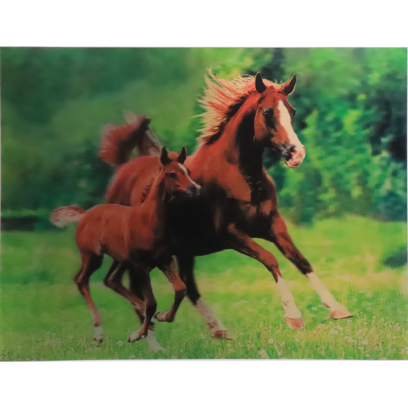 Horses - Triple Views - 3D Action Lenticular Poster - 12x16 - 3 Prints in 1 - New