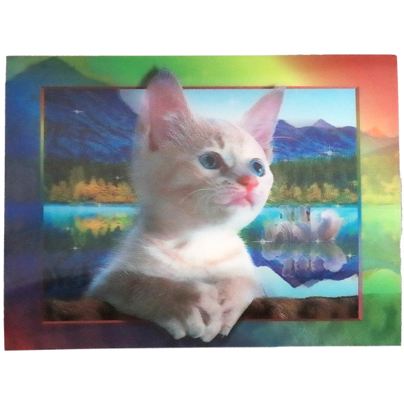 Kitten with Swans in the back - 3D Lenticular Poster - 12x16 Print - New