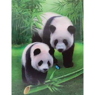 Panda - 3D Lenticular Poster - 12x16 Print - New