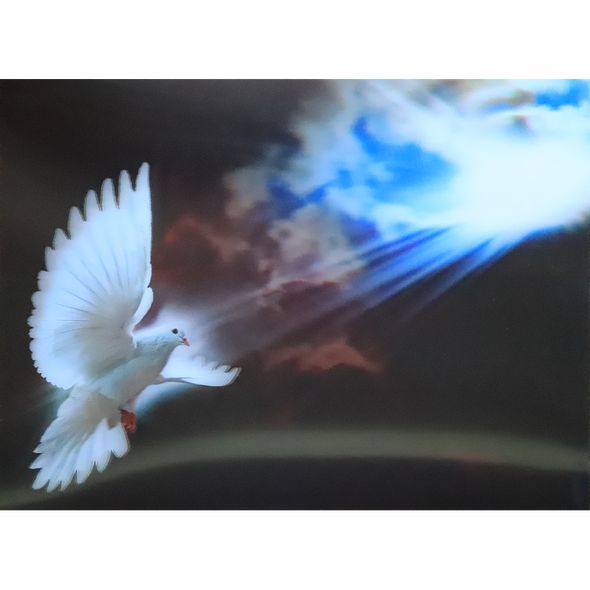 Dove in the Sky - 3D Lenticular Poster - 12x16 Print - New