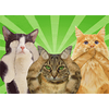 Cats - See No Evil, Hear No Evil, Speak No Evil - 3D Flicker Lenticular Postcard Greeting Card