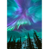 Aurora Borealis  - 4 different 3D Magnets Popular Combo for Savings