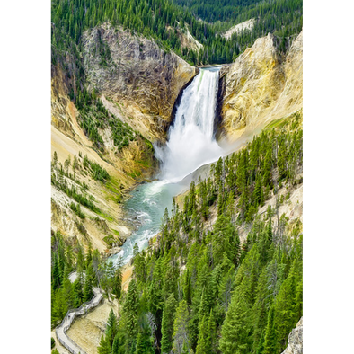 Yellowstone Lower Falls - 3D Lenticular Postcard Greeting Card- NEW - 3D Lenticular Postcard Greeting Card- NEW