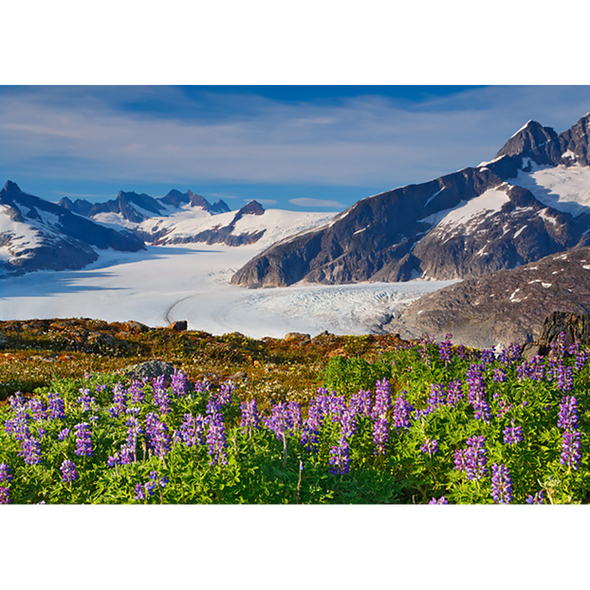 Mendenhall Glacier - 3D Lenticular Postcard Greeting Card