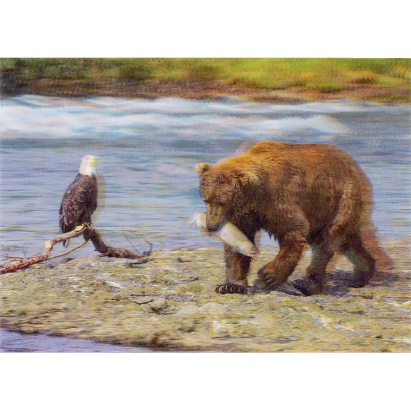 Brown Bear, Salmon and Eagle - 3D Lenticular Postcard Greeting Card - NEW