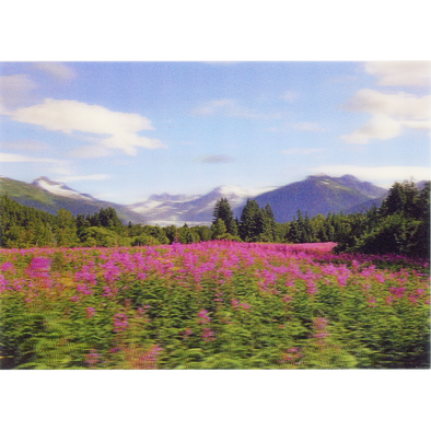 Mendenhall Glacier 2 - 3D Lenticular Postcard Greeting Card - NEW