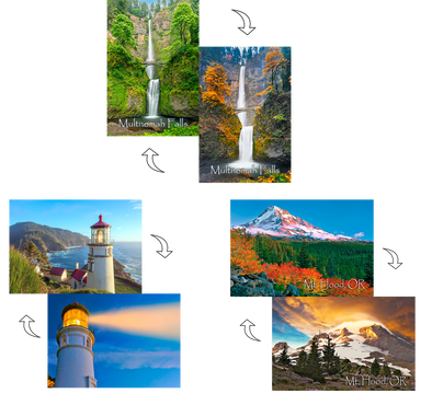 Oregon Scenes -  3 different 3D Magnets Popular Combo for Savings