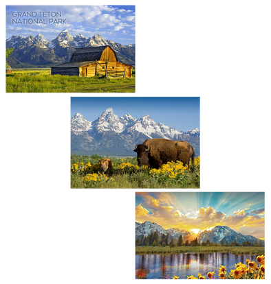 Grand Teton Range - 3 different 3D Magnets Popular Combo for Savings