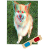 Akita (Dog) - Phantogram Greeting Card - with 3D Glasses - Image Pops Up from the Card - Unique 3D - NEW